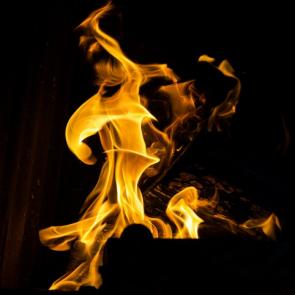 ����: ����� ������