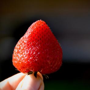 ����: ������