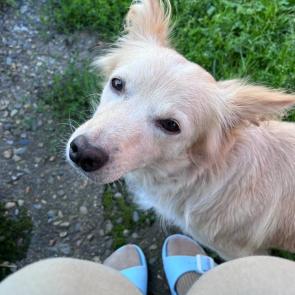 ���� ��������: 