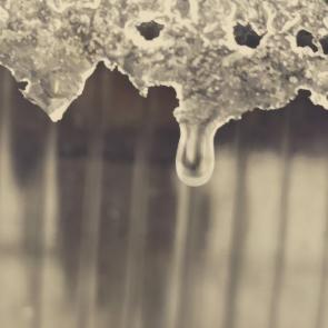 ����: �������-�������