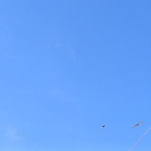 ����: � ������