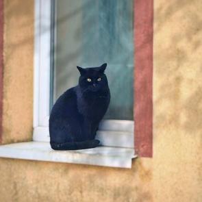 ������� �����