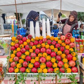 ����: ��������  ����