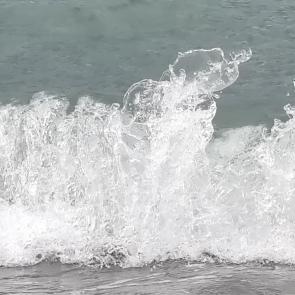 � ���� ����-������������