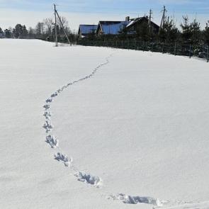 ���������� ��� ���������