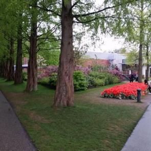 ���� ��������: 