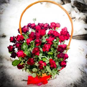 ������ � �����