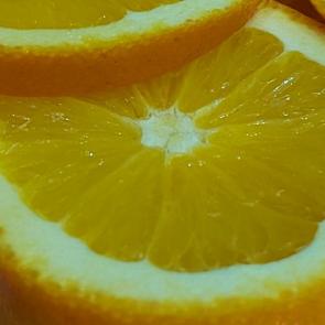 ����: �������� 