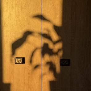 ����: ���� ����� 