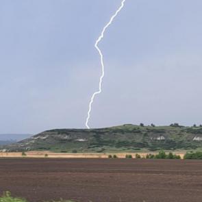 ����: ������