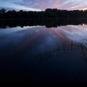 ����: �������������� ����