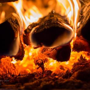 ����: ������� �����