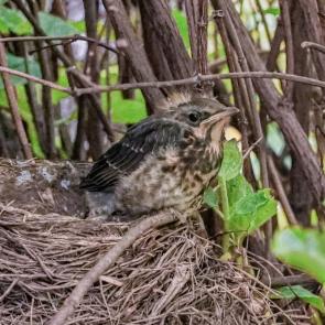 ���� ��������: ���� ����������