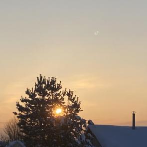 ���� ��������: 