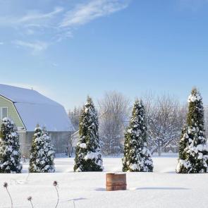 ����: ��������