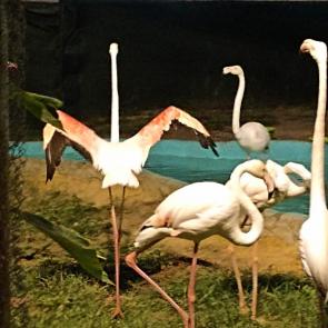 �������� �����