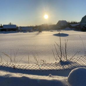 ����: �������������