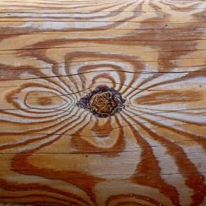 ����: �����.