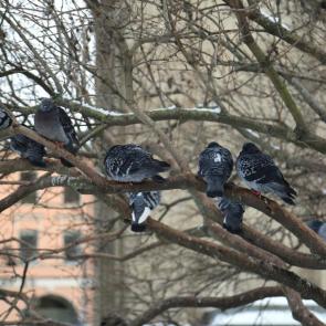 ����: ��������� ������