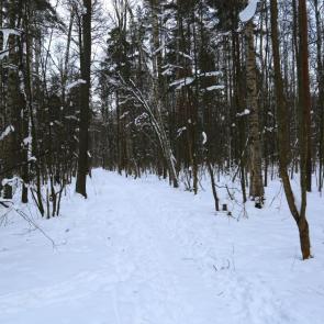 ����: �������� � �����