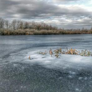 ������ ������