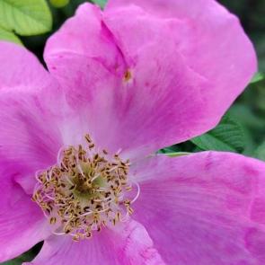 ����: �������� ������.