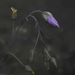 ����: ���� ����