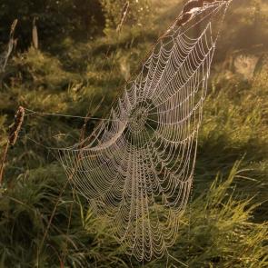 ����: ������� � ������� ���� 