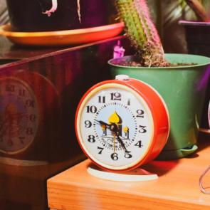 ����: ������ ����