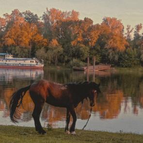 ����: Pirita