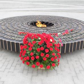 ����� ����