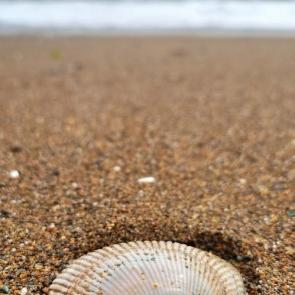 ����: ��������� ������ 