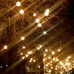 ���� ��������: 