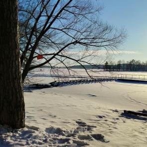 ����: ����� ������