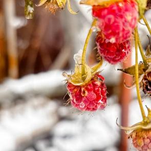 ����: ������� 2025 