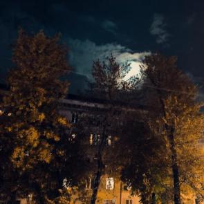 ����: 