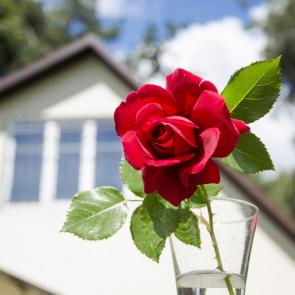 ����: ���������� ����