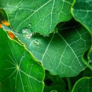 ����: ������ ���������