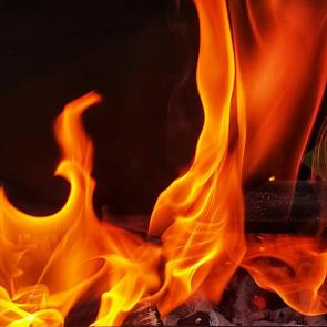 ����: �������� �����