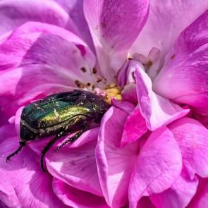 ����: �������� ��� ���������