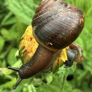 ����: ���������������