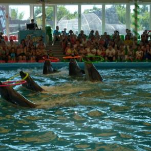 ����: ��� ���������.