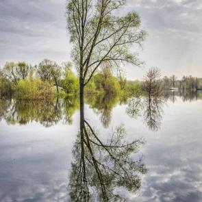 ����: �������� ��������� 