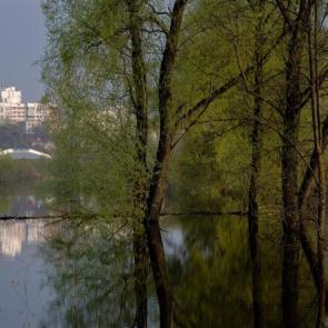 ����: �������� ��������� 