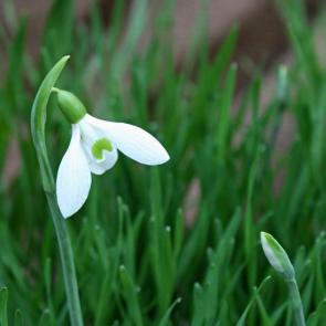 ����: ������-��� � ���� ������