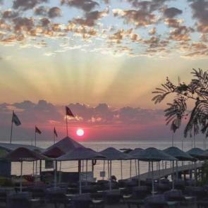 ����: ������