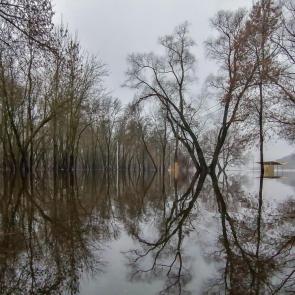 ����: �������� ��������� 