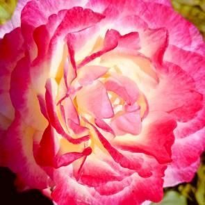 ����: ������ ������