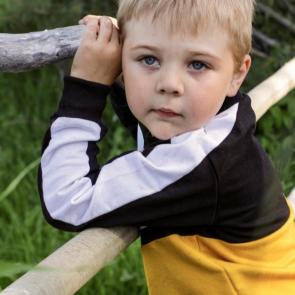 ����: ���������