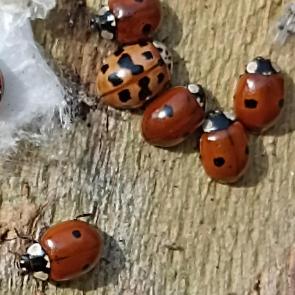 ����: �� ��������